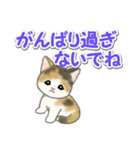 毎日優しいもこもこ猫ちゃんズ（個別スタンプ：28）