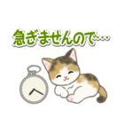 毎日優しいもこもこ猫ちゃんズ（個別スタンプ：34）