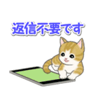 毎日優しいもこもこ猫ちゃんズ（個別スタンプ：35）