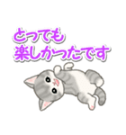 毎日優しいもこもこ猫ちゃんズ（個別スタンプ：39）