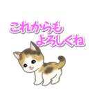 毎日優しいもこもこ猫ちゃんズ（個別スタンプ：40）