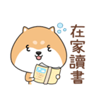 ぷにぷにシバちゃん-エピデミックを防ぐ！（個別スタンプ：14）