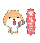 ぷにぷにシバちゃん-エピデミックを防ぐ！（個別スタンプ：17）