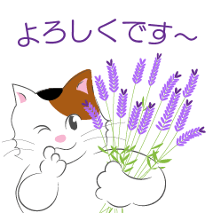 [LINEスタンプ] 花と猫の感謝のきもち