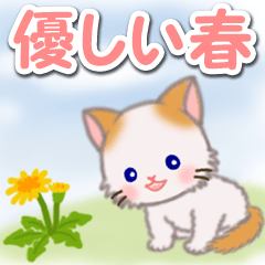 [LINEスタンプ] 優しい春 もふもふしっぽの子猫ちゃんの画像（メイン）