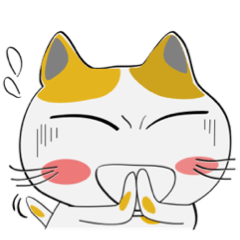 [LINEスタンプ] 目と顔で感情を語る！三毛猫のみーこ12