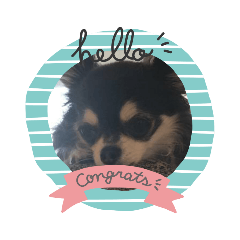 Lineスタンプの人気ランキング 全2 193 742種類