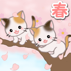 [LINEスタンプ] 春の三毛猫ツインズ