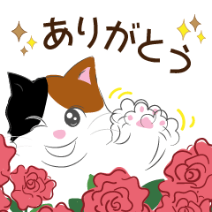 [LINEスタンプ] 元気いっぱい♡大人可愛い猫の挨拶スタンプ
