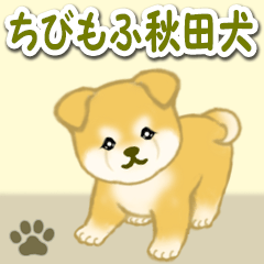 [LINEスタンプ] ちびもふ秋田犬 毎日使うスタンプの画像（メイン）