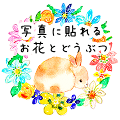 [LINEスタンプ] 写真に貼れる♪お花とどうぶつ