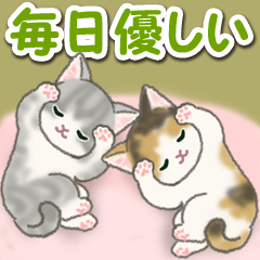 [LINEスタンプ] 毎日優しいもこもこ猫ちゃんズの画像（メイン）